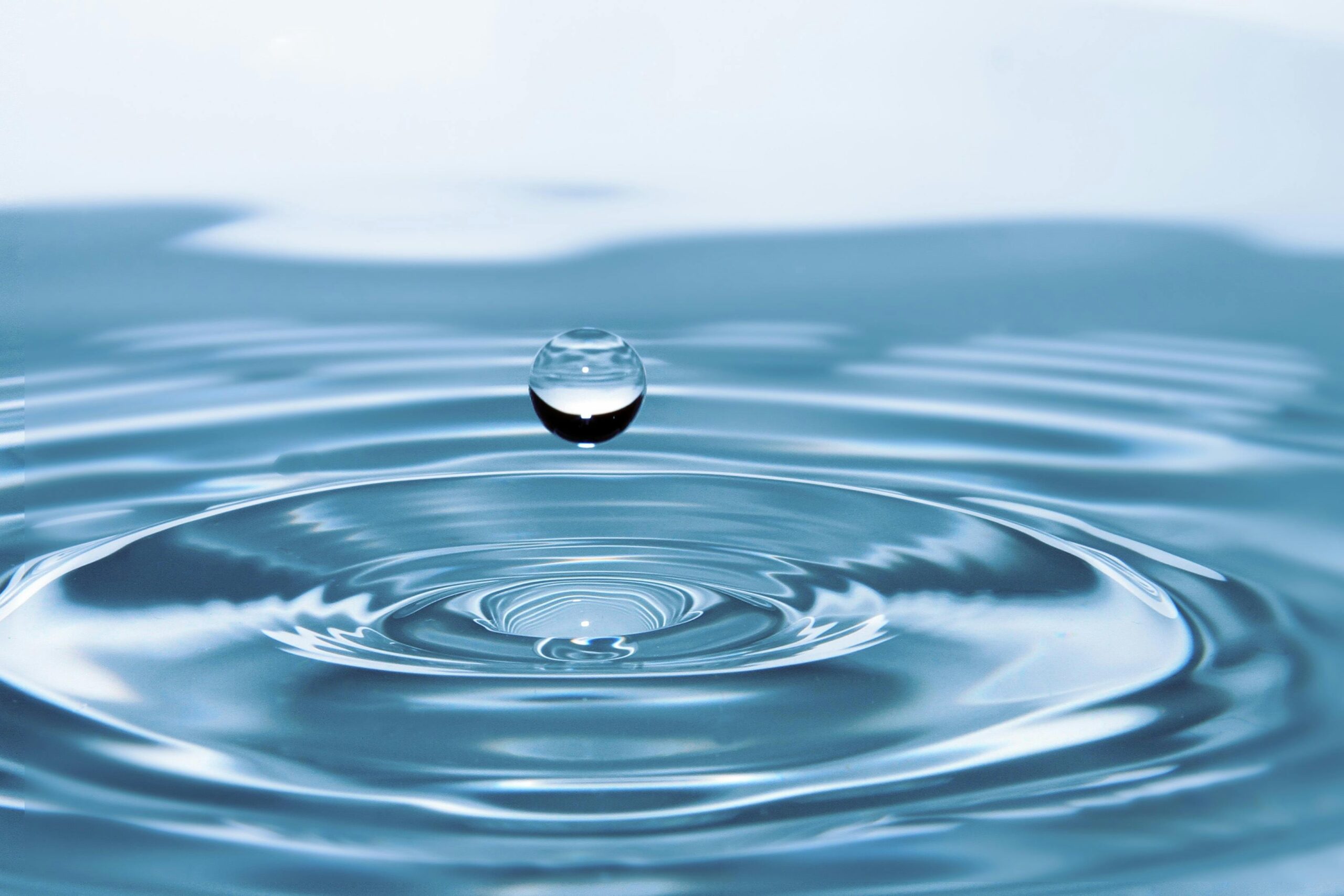 Sustainability as a Quality Metric: Redefining Excellence Through Environmental Responsibility